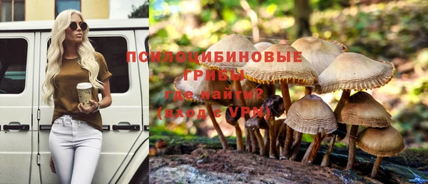 ПСИЛОЦИБИНОВЫЕ ГРИБЫ Абинск