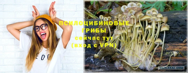 ПСИЛОЦИБИНОВЫЕ ГРИБЫ Абинск