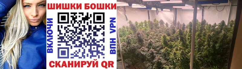 кракен как зайти Мегион Бошки Шишки сатива